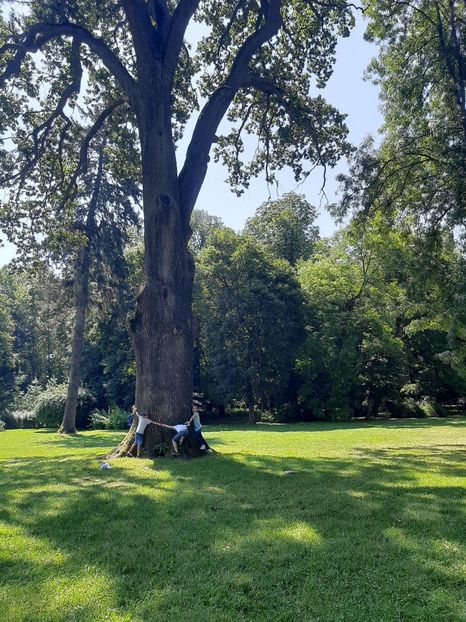 IMG-20210715-WA0012 - Fundație 2