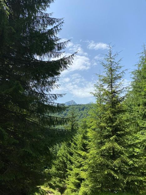  - Imagini inedite din tara mea frumoasa