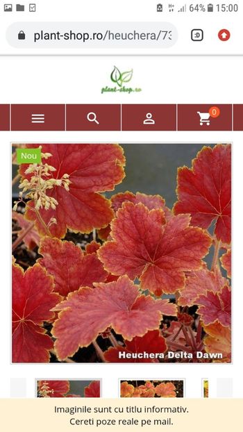 Screenshot_20210716-150019 - Heuchere