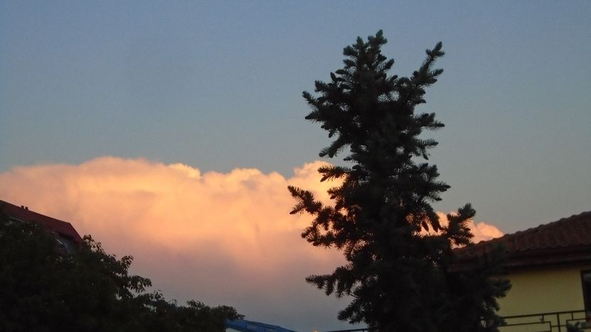 Nori spectaculosi - r Vara 2020-2021-2022-2023