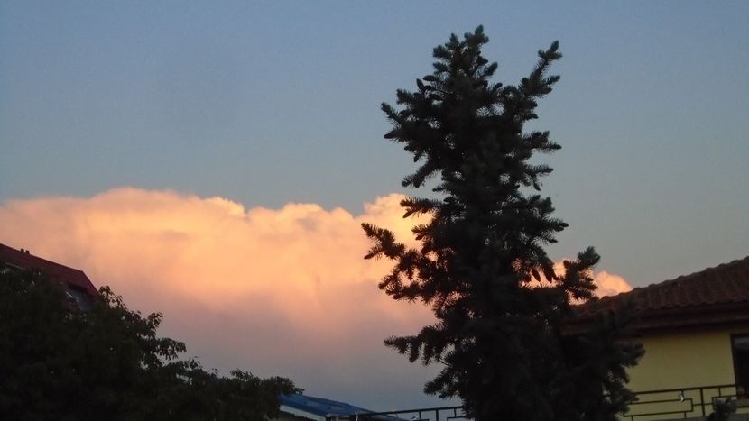 Nori spectaculosi - r Vara 2020-2021-2022-2023