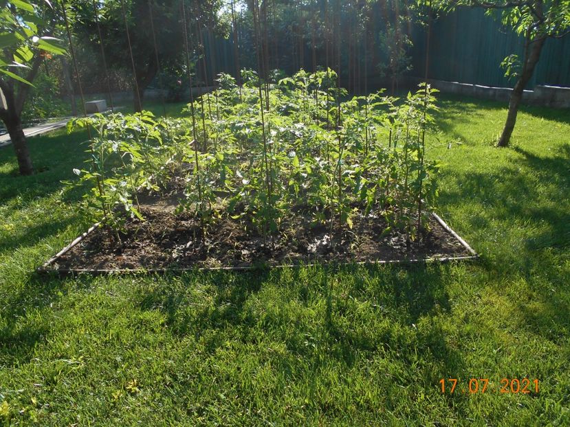  - 02 Gradina de legume 2021