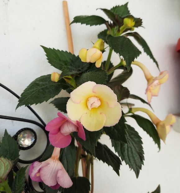 20210717_100641~2 - 2 - NIA