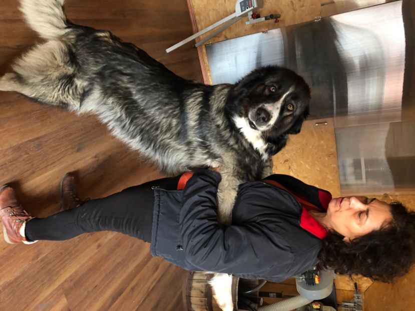 4F6E346A-BEB5-4C8E-B15E-4286D73E730E - MARA DE CROITORU