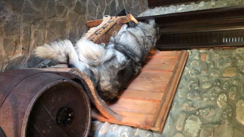 28C6C261-7822-4AB5-9A4C-01C954CDAD35 - MARA DE CROITORU