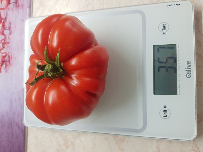 Prekos f1 - Iulie 2021