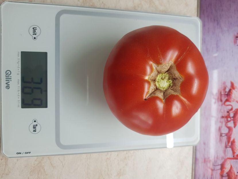 Ghittia - Iulie 2021