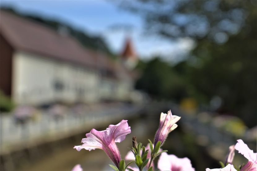 fornsbach 3 - Catalin Azamfirei