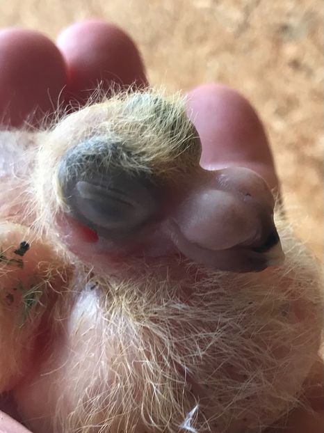 71BE3BAF-8CCD-411E-A9F2-E998DDEA2950 - Tineret 2021