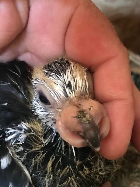 86F1EFCA-4A2E-4B5C-8803-D813A0785A29 - Tineret 2021