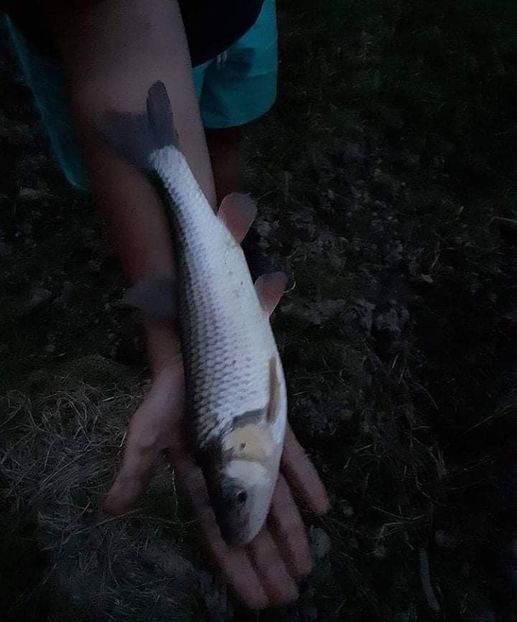 received_196833509059749 - Pescuit 2021