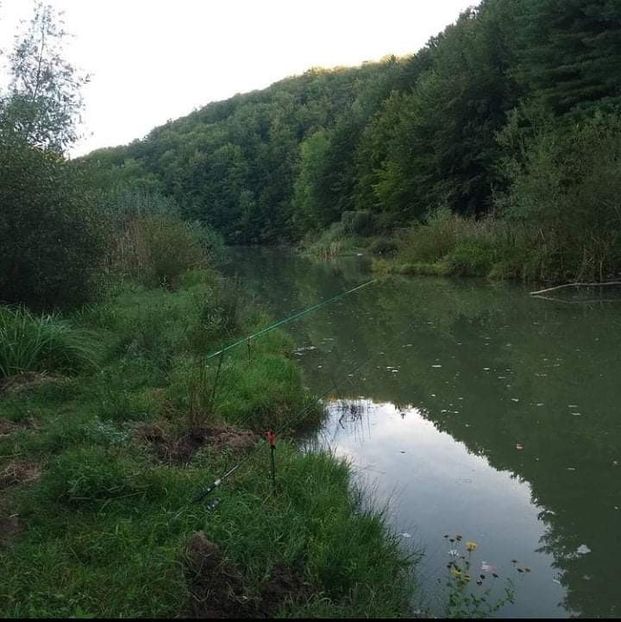 received_4220447181382501 - Pescuit 2021