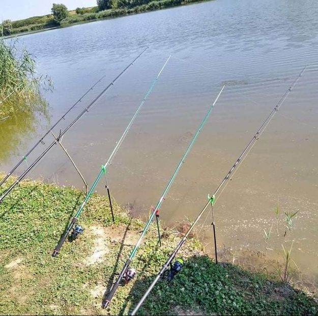 received_624459225197571 - Pescuit 2021