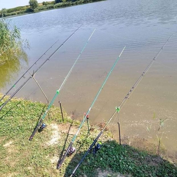 received_1175733929609731 - Pescuit 2021