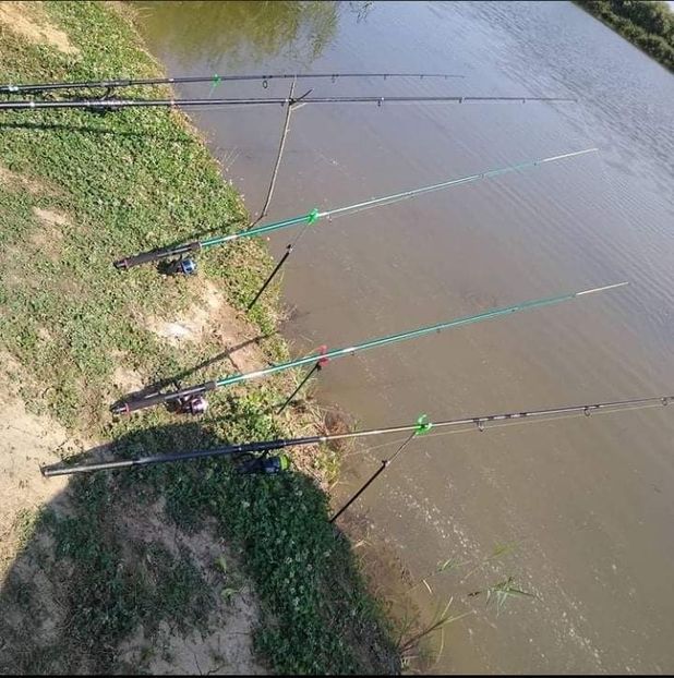 received_1158744741294700 - Pescuit 2021