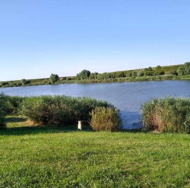 received_207552951294641 - Pescuit 2021