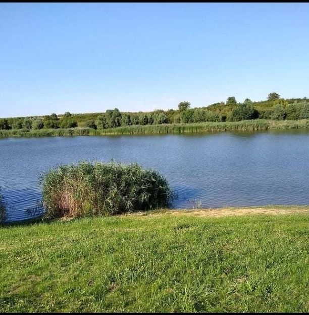 received_549373212856473 - Pescuit 2021