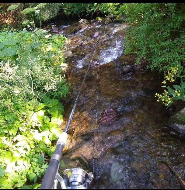 received_1258964371228880 - Pescuit 2021