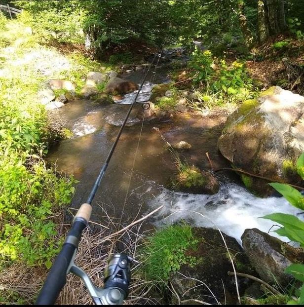 received_873026690298736 - Pescuit 2021