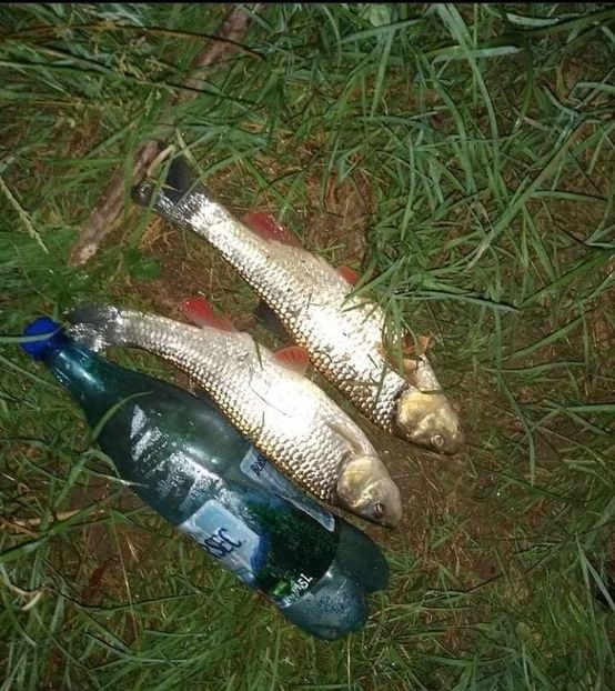 received_519735592433224 - Pescuit 2021