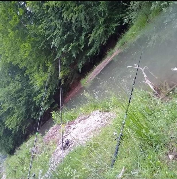 received_558601768482758 - Pescuit 2021