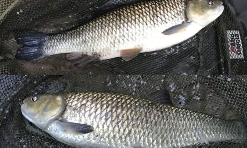 received_824395758209335 - Pescuit 2021