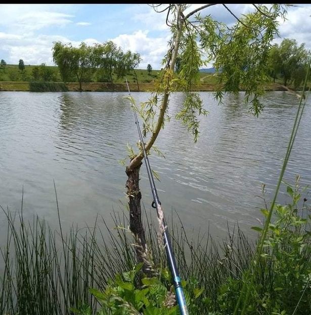 received_577153993284784 - Pescuit 2021