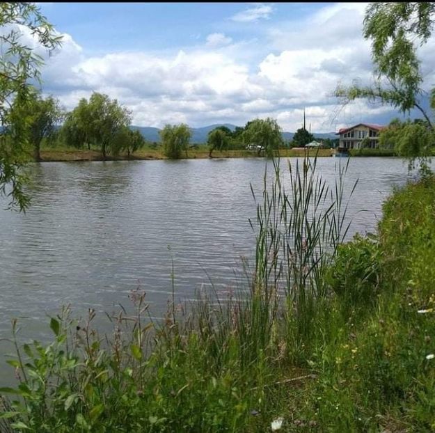 received_553839868942639 - Pescuit 2021