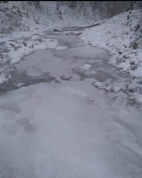 received_542594403535349 - Pescuit 2021