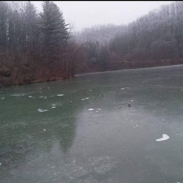 received_1952333558264803 - Pescuit 2021