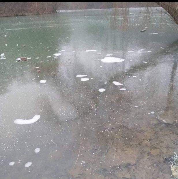 received_190263449731468 - Pescuit 2021