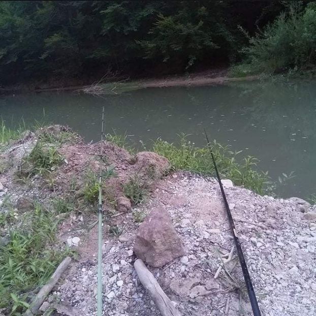 received_335088194871833 - Pescuit 2021