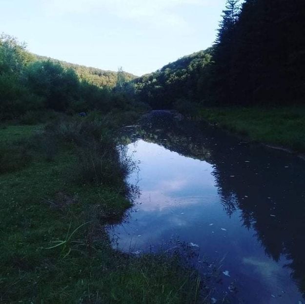 received_313524887171194 - Pescuit 2021