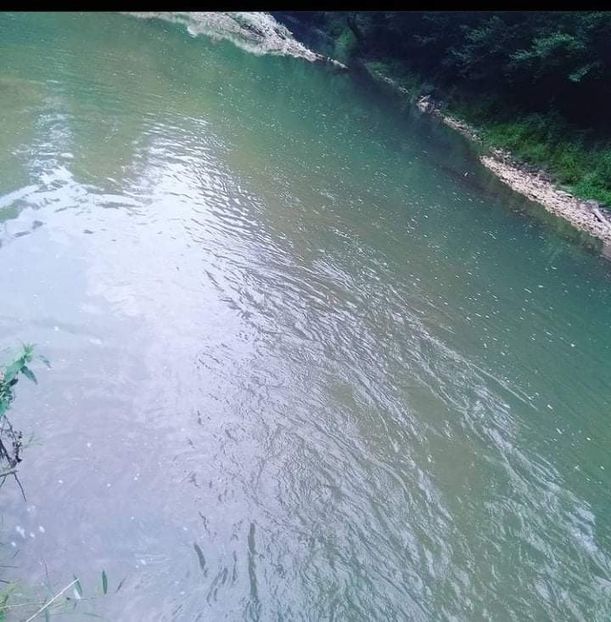 received_213018884157312 - Pescuit 2021