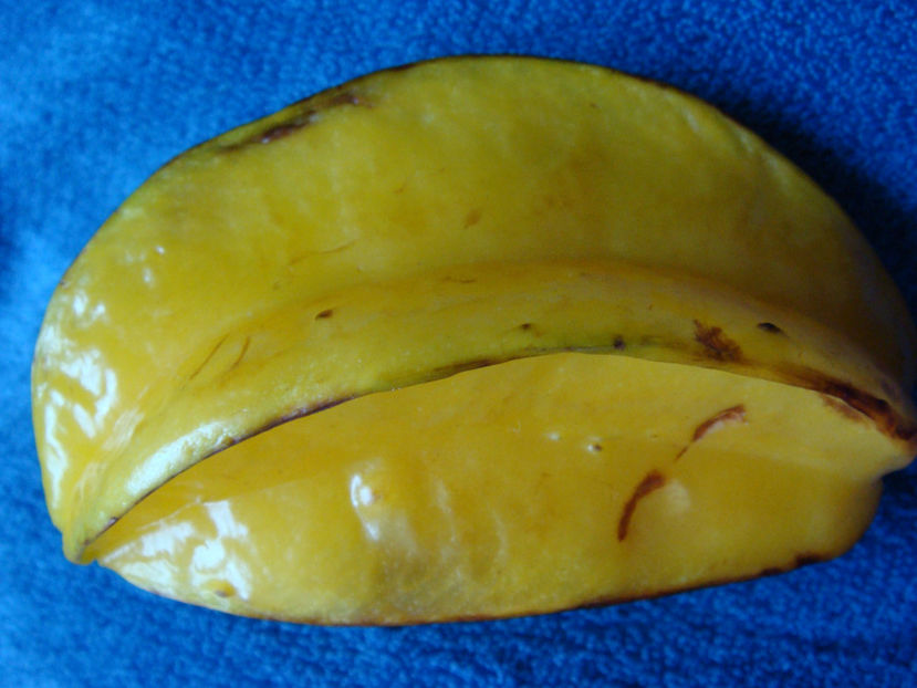 Fructul stea - Carambola sau fructul stea