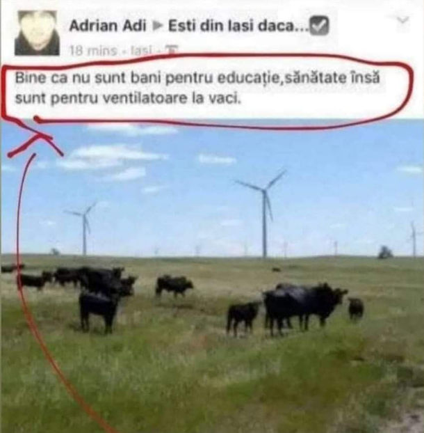  - Bancuri cu Moldoveni