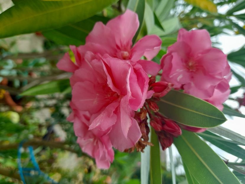  - Un nou inceput 2021