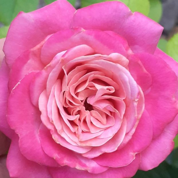  - Agnes 2021 - 2022-2023