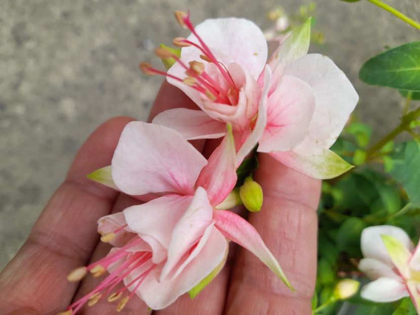  - Un nou inceput 2021