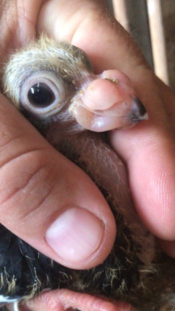 53FE743A-9D90-45ED-A198-467EBCEF2F32 - Tineret 2021