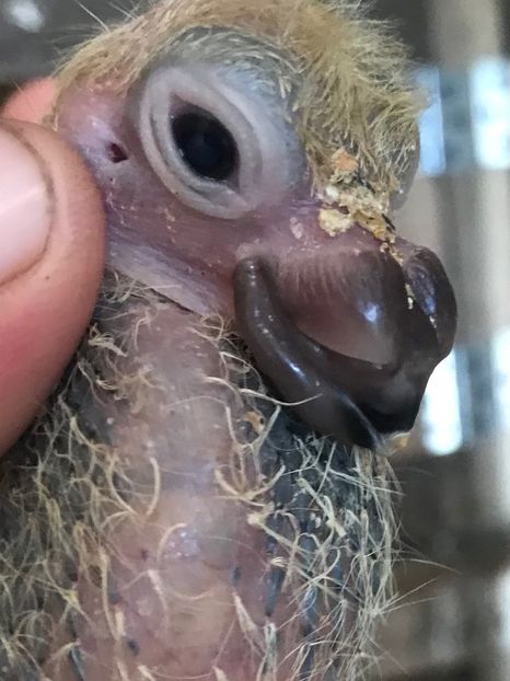 A52CC45C-FC93-4D55-A51E-67C85AA232C8 - Tineret 2021