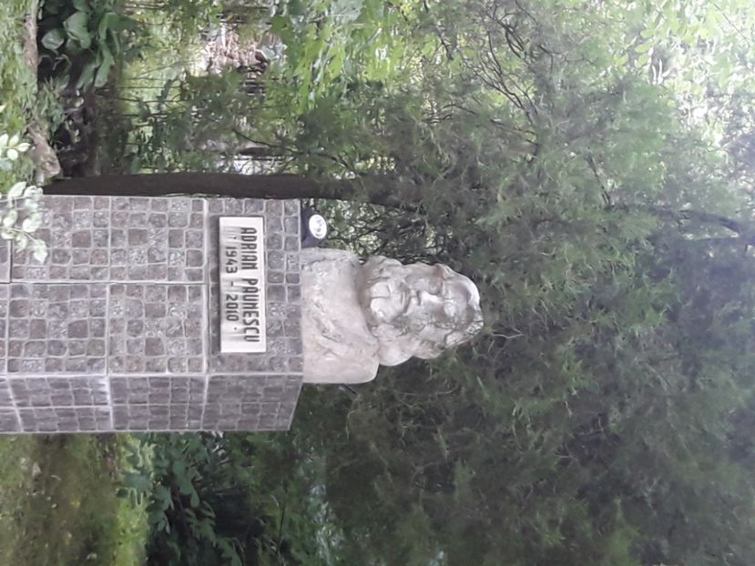  - 2021 iulie Herculane