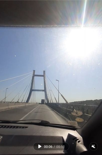 Bucuresti.... dupa puii de la Radulescu Noni - 2021