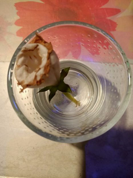 E de experiment :) - 1- Andreea