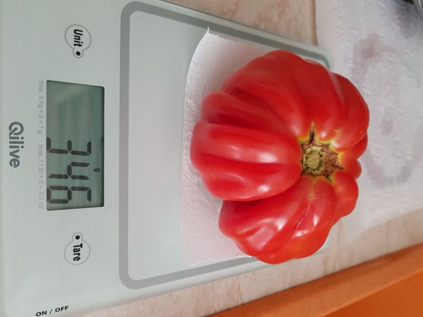 Albenga bulgaria - Iulie 2021