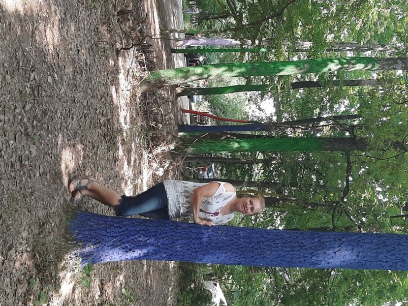  - Pădurea colorată