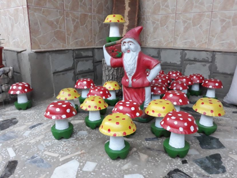 20210702_210043[1] - Ciupercute de vanzare pentru amenajat curti si spati verzi