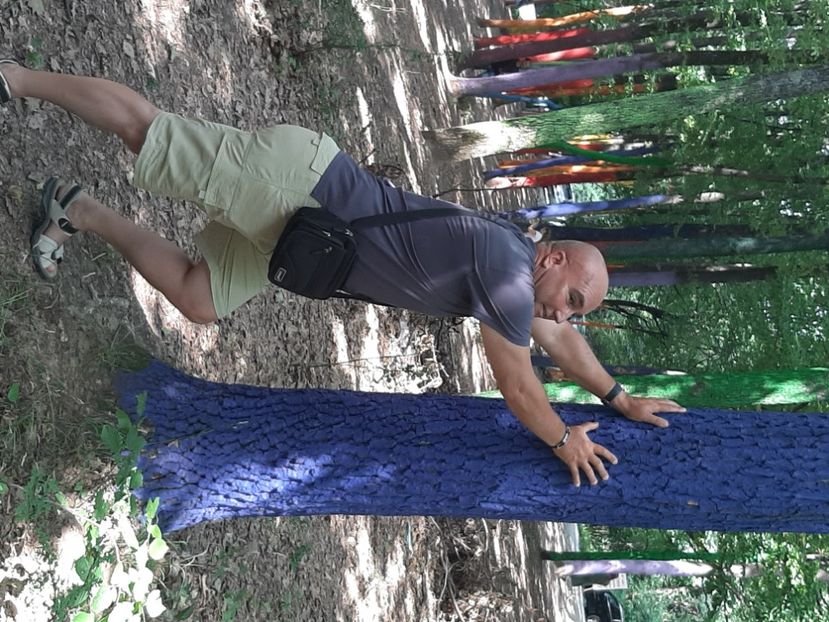  - Pădurea colorată de la Poenari