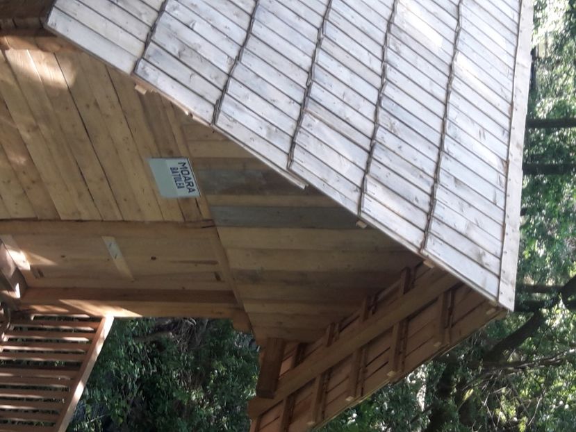  - 2021 iulie Herculane