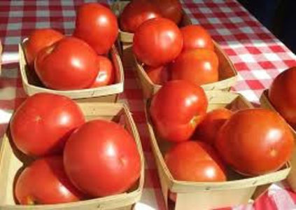 rosii 1 ladite - rosii 2021 2